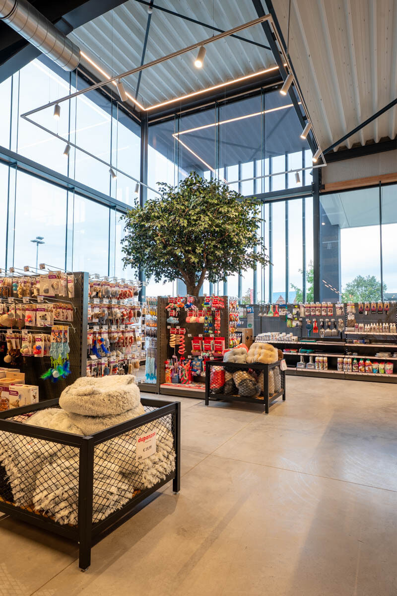 Paquita Six duponzoo menen KL 16