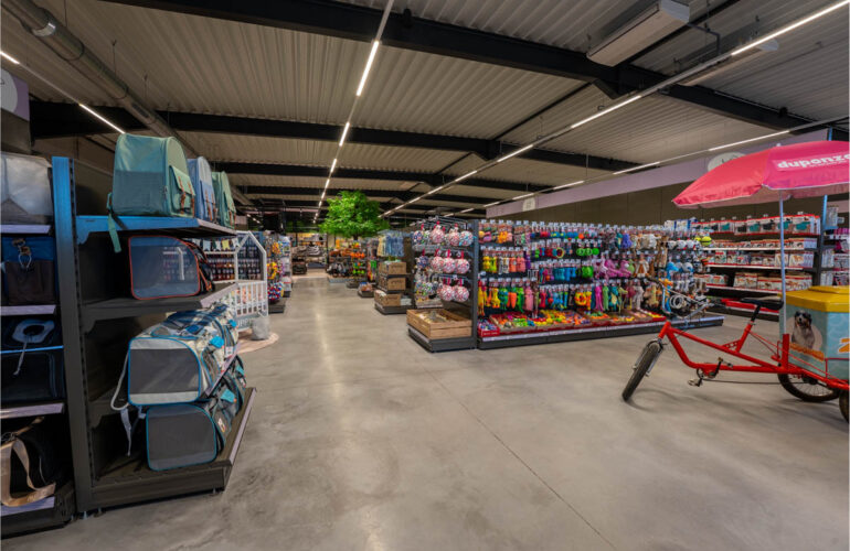 Paquita Six duponzoo menen KL 4