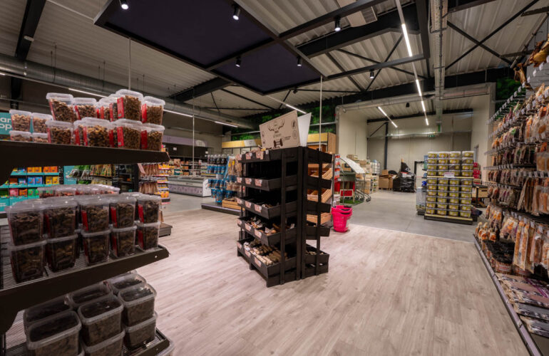 Paquita Six duponzoo menen KL 6