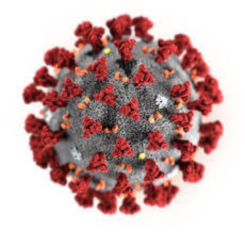 CORONAVIRUS